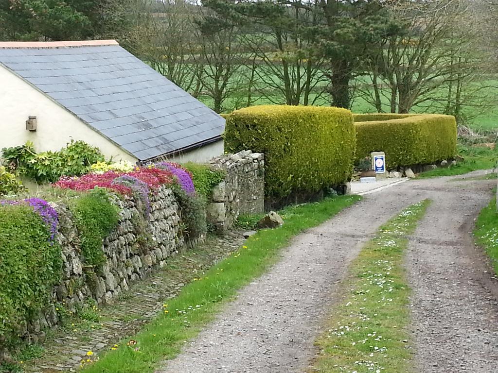 Bostrase B&B Hayle Exteriör bild