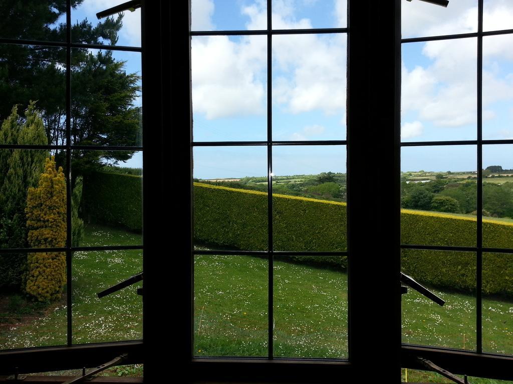 Bostrase B&B Hayle Rum bild