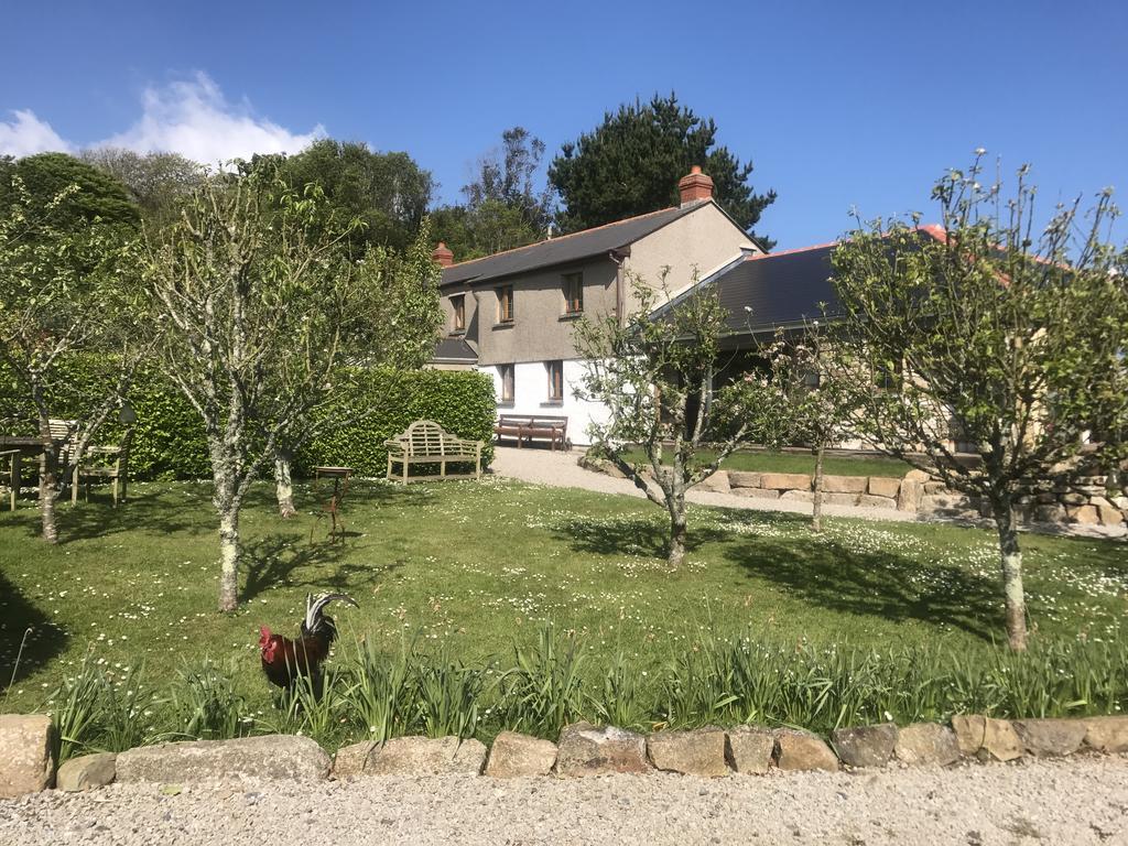 Bostrase B&B Hayle Exteriör bild